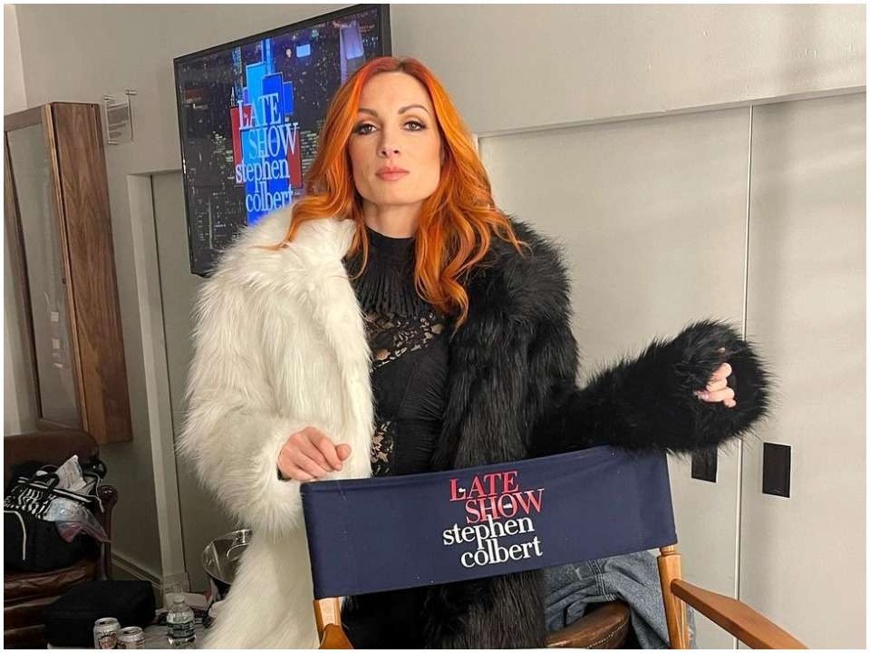 Becky Lynch Biography, Net Worth, Wiki, Age, Height, Husband, Family