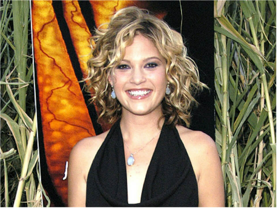 Nicki Aycox Biography, Net Worth, Wiki, Death, Age, Husband